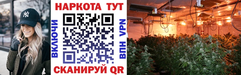 Где купить наркотики Касимов Каннабис  A-PVP  Гашиш  Вейп ТГК  Меф мяу мяу 