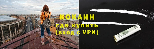 прущие грибы Новозыбков