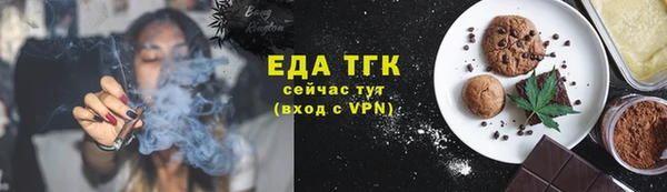 прущие грибы Новозыбков