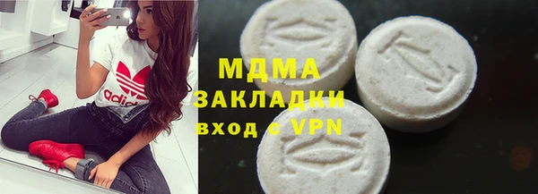прущие грибы Новозыбков