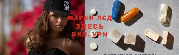 прущие грибы Новозыбков
