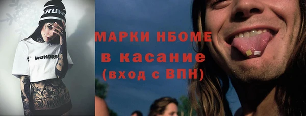 прущие грибы Новозыбков