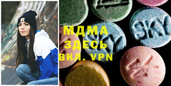 прущие грибы Новозыбков