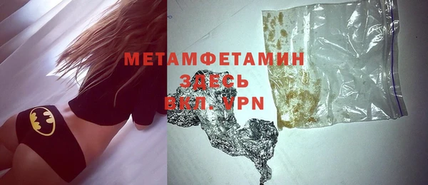 прущие грибы Новозыбков