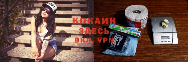 прущие грибы Новозыбков