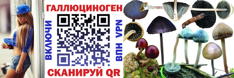 Галлюциногенные грибы MAGIC MUSHROOMS Касимов