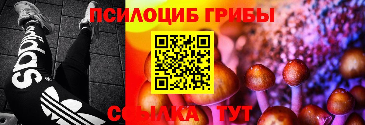 Псилоцибиновые грибы мицелий  Галлюциногенные грибы MAGIC MUSHROOMS  Касимов  Вход с VPN 